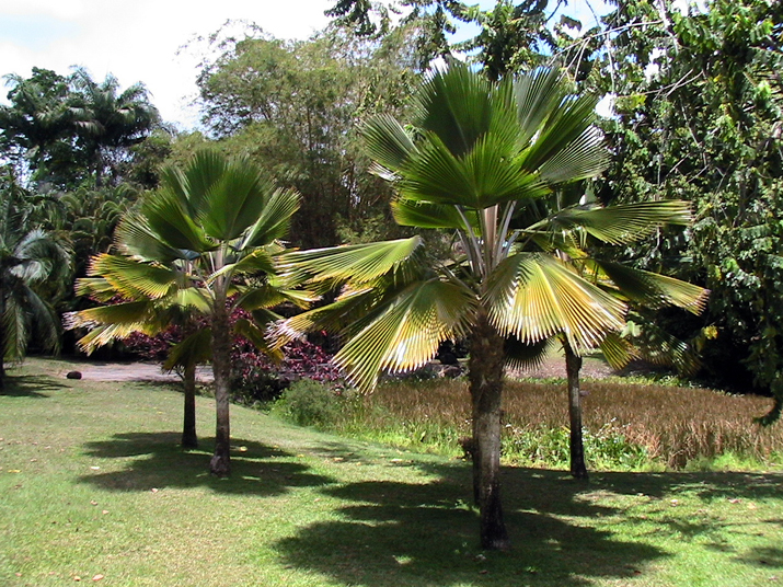 28 - Jardin des eaux 023.jpg